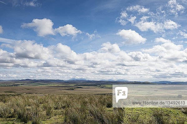 Graslandschaft auf der Isle of Islay  Innere Hebriden  Schottland  Vereinigtes Königreich  Europa