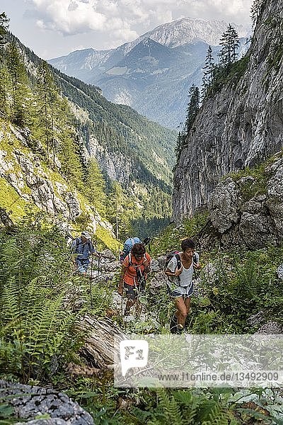 Drei Wanderer auf einem Wanderweg  Blick auf Berge  Saugasse  Wanderweg zum KÃ¶nigssee und KÃ¤rlinger Haus  Nationalpark Berchtesgaden  Bayern  Deutschland  Europa