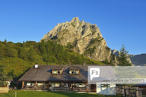 Mitterfeldalm  Hochkönig-Gebirge  Salzburger Land  Österreich  Europa