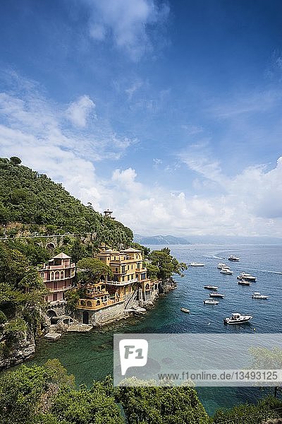 Lokale Ansicht eines Dorfes mit bunten Häusern und Hafen  Portofino  Provinz Genua  Ligurien  Italien  Europa