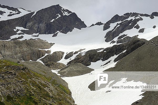 Schneefelder am Cerro Martial mit Gletscher  Ushuaia  Provinz Tierra del Fuego  Provinz Tierra del Fuego  Argentinien  Südamerika