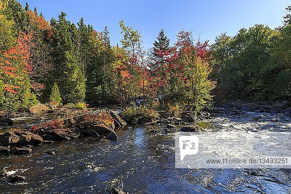 Stromschnellen des Flusses RiviÃ¨re du Diable im Herbst  HerbstfÃ?rbung  Mont Tremblant National Park  Provinz QuÃ©bec  Kanada  Nordamerika