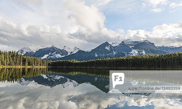 Herbert Lake  See mit Spiegelung der Bow Range  Banff National Park  Kanadische Rocky Mountains  Alberta  Kanada  Nordamerika