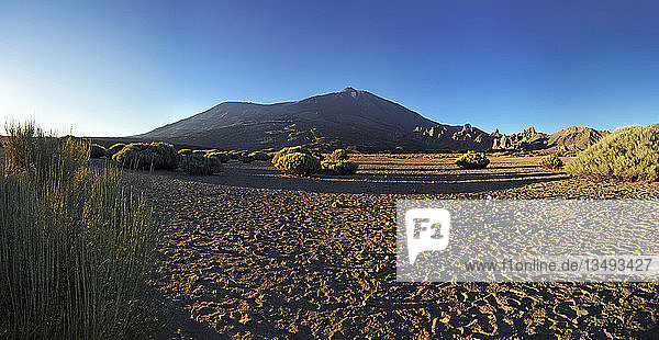 Evening in the Teide National Park with Pico del Teide mountain  Tenerife  Canary Islands  Spain  Europe