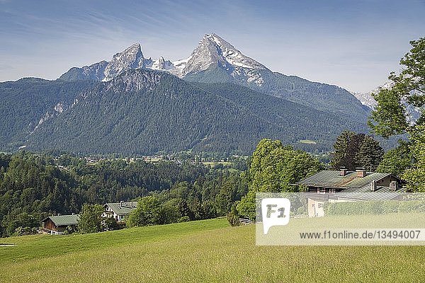 Watzmann  Watzmann-Massiv vor Almwiesen  Berchtesgadener Land  Oberbayern  Bayern  Deutschland  Europa