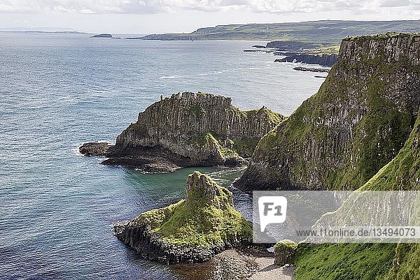 Basaltklippen entlang der Causeway Coast  Grafschaft Antrim  Nordirland  Vereinigtes Königreich  Europa