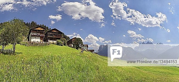 Old mountain farms above S. Magdalena on the Bergbauernweg trail  Villnoesstal valley  province of Bolzano-Bozen  Italy  Europe