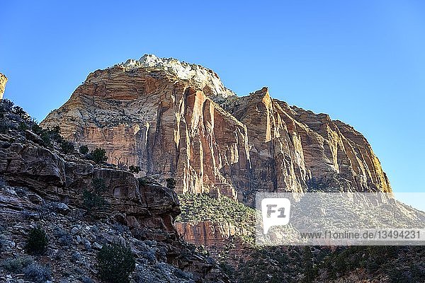 Der Osttempel  Zion-Nationalpark  Utah  USA  Nordamerika