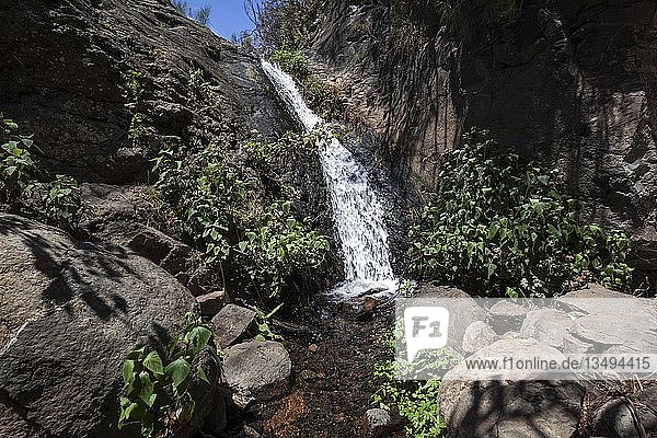 Kleiner Wasserfall im Barranco de los Cernicalos  bei Los Arenales  Gran Canaria  Kanarische Inseln  Spanien  Europa