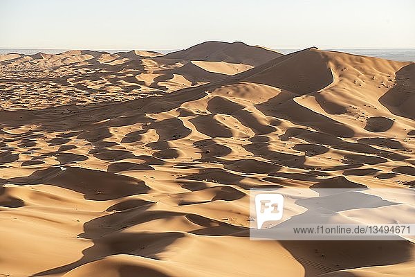 Sand dunes in the desert  dune landscape Erg Chebbi  Merzouga  Sahara  Morocco  Africa