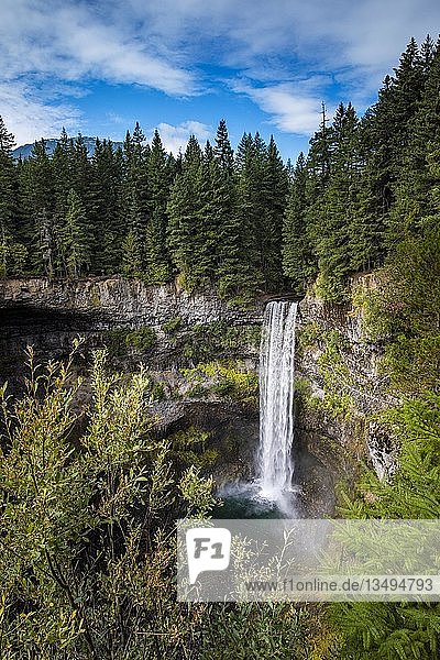 Brandywine Falls Wasserfall  umgeben von Nadelwäldern  Brandywine Falls Provincial Park  British Columbia  Kanada  Nordamerika
