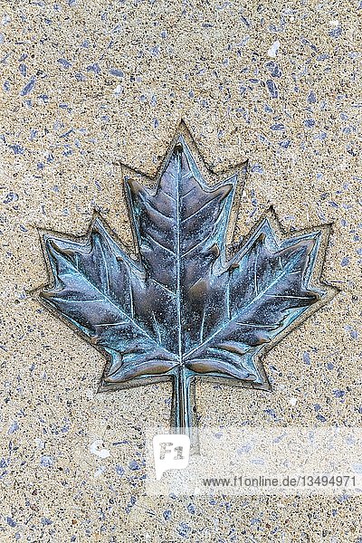 Ahornblatt aus Metall in Steinplatte  Symbol Kanada  Ottawa  Provinz Ontario  Kanada  Nordamerika