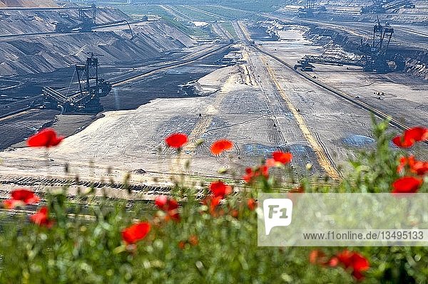 Blick über den Rand des Tagebaues Garzweiler in die Grube Grevenbroich Nordrhein-Westfalen Deutschland Europa