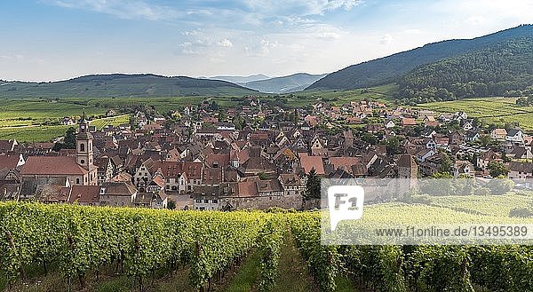 Ansicht von Riquewihr  Weinstraße im Elsass  Frankreich  Europa