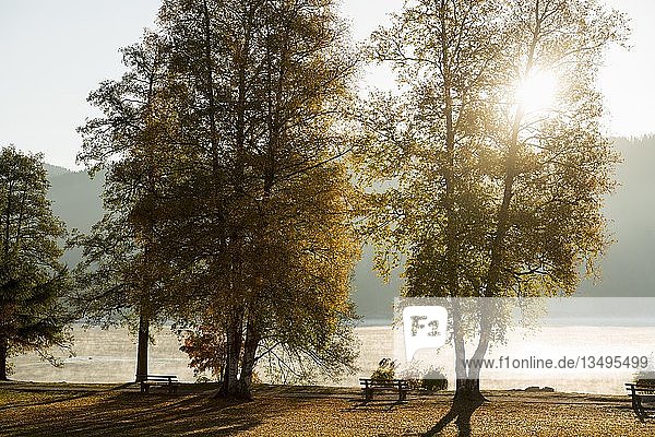 Herbstmorgenstimmung  ParkbÃ?nke am Titisee  Baden-WÃ¼rttemberg  Schwarzwald  Deutschland  Europa