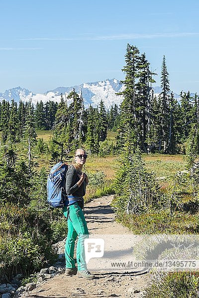 Hiker on hiking trail Panorama Ridge  Forest and Mountains  Garibaldi Provincial Park  British Columbia  Canada  North America