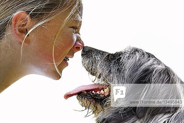 Mädchen und Hund schnüffeln sich gegenseitig die Nasen ab