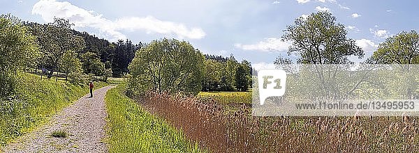 Frau auf einem Wanderweg durch das Morsbachtal  BÃ?ume  ''Ritter- und RÃ¶merweg''  bei Emsing  Titting  Naturpark AltmÃ¼hltal  Bayern  Deutschland  Europa''