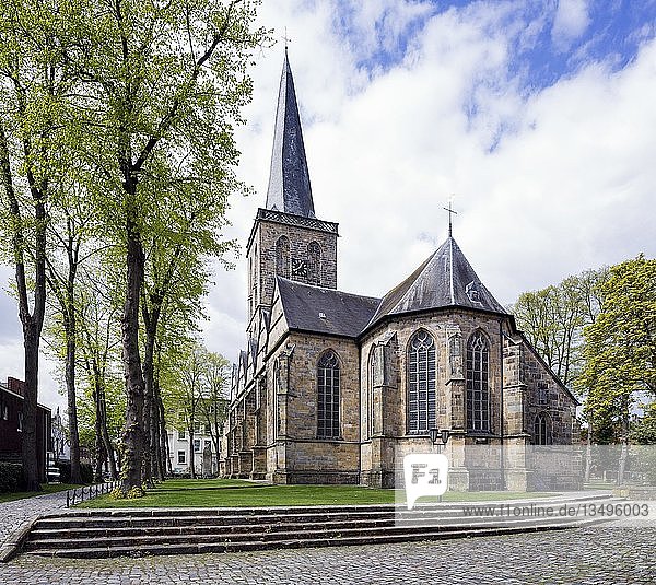 Evangelische St.-Lorenz-Kirche  auch Große Kirche oder Schüttorfer Riese  Schüttorf  Niedersachsen  Deutschland  Europa