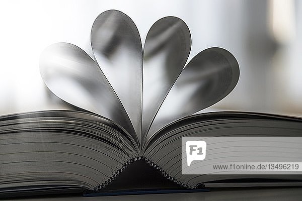 Nahaufnahme Aufgeschlagenes Buch im Gegenlicht Nahaufnahme