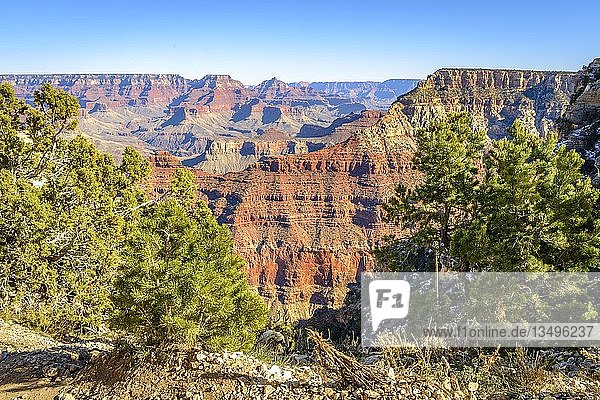 Blick vom Rim Trail zwischen Mather Point und Yavapai Point  erodierte Felslandschaft  South Rim  Grand Canyon National Park  Arizona  USA  Nordamerika