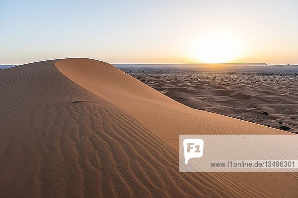 Sonnenaufgang  Sanddünen in der Wüste  Dünenlandschaft Erg Chebbi  Merzouga  Sahara  Marokko  Afrika