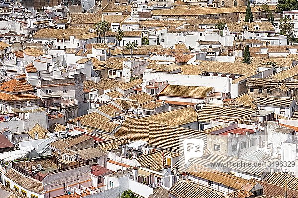 Blick auf Dächer  Córdoba  Andalusien  Spanien  Europa