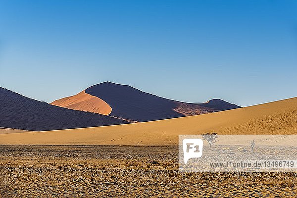 Landschaft in Sossusvlei  Namib-Wüste  Namib Naukluft Park  Hardap-Region  Namibia  Afrika