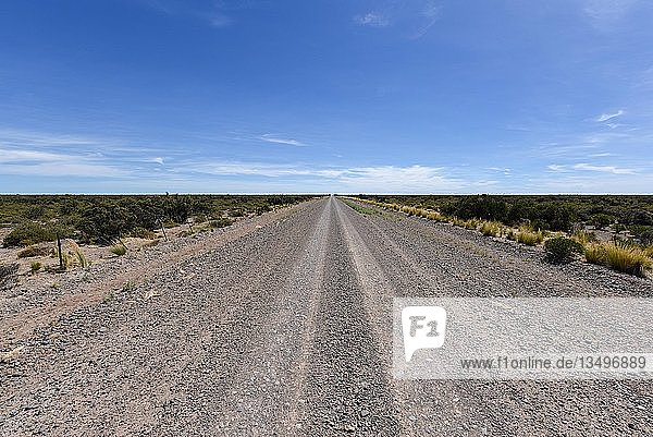 Lange gerade Schotterstraße durch die Pampa bis zum Horizont  Peninsula Valdes  Patagonien  Argentinien  Südamerika