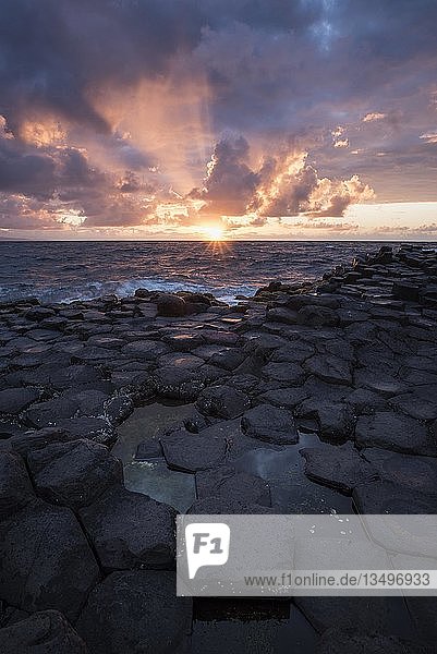 Basaltsäulen an der Küste bei Sonnenuntergang  Giant's Causeway  County Antrim  Nordirland  Vereinigtes Königreich  Europa