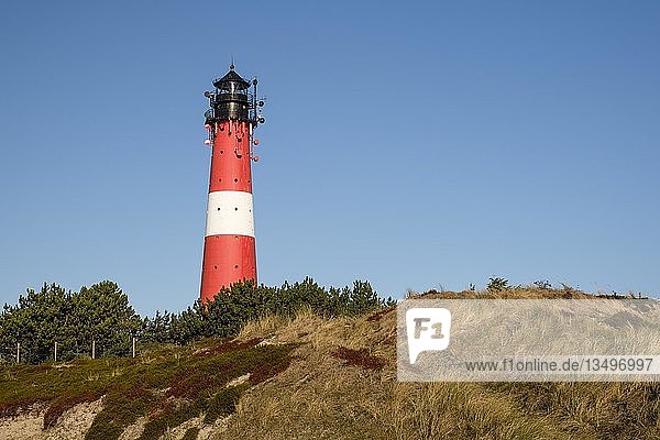 Leuchtturm von Hörnum Sylt Nordfriesland Schleswig-Holstein Deutschland Europa