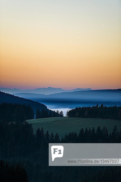 Morgendunst  Morgenstimmung  Blick vom Thurner  hinter den Schweizer Alpen  Schwarzwald  Baden-WÃ¼rttemberg  Deutschland  Europa