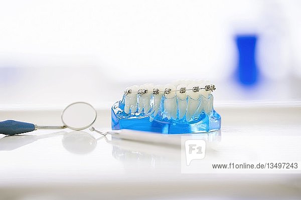 Modell von Zähnen  ein Zahnarztspiegel und zahnärztliche Utensilien liegen auf einem Regal in einer Zahnarztpraxis  Deutschland  Europa