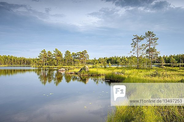 Ufer mit See Breksjoen  JÃ¤vrebyn  Lappland  Finnland  Europa