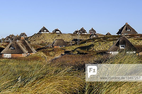 Typische Friesenhäuser mit Reetdach in den Dünen von Hörnum Sylt Nordfriesland Schleswig-Holstein Deutschland Europa