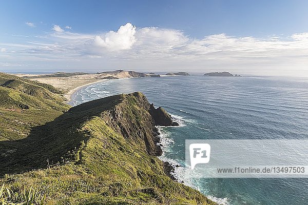 Felsenküste am Cape Reinga  Northland  Nordinsel  Neuseeland  Ozeanien
