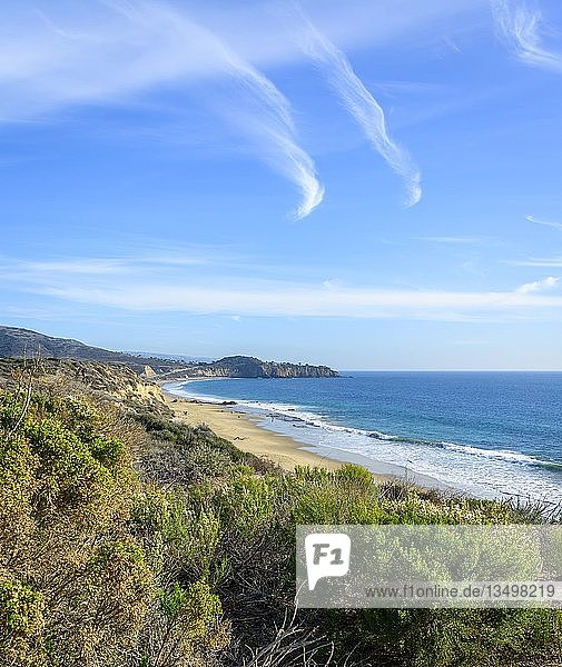 View of the sandy beach  coastal reserve  Cystal Cove State Park  Orange County  California  USA  North America