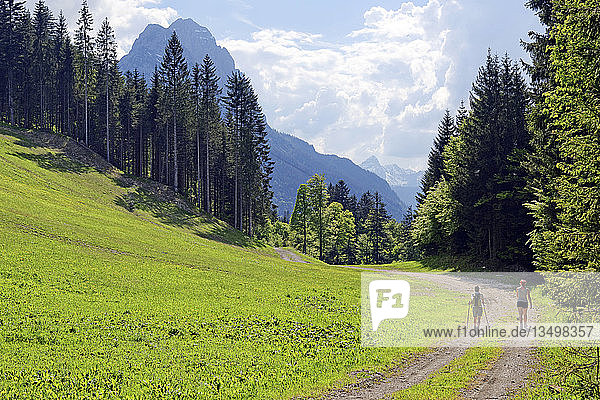 Wanderer mit Blick auf den GroÃŸen Waxenstein  Hammerbach  Landkreis Garmisch-Partenkirchen  Oberbayern  Bayern  Deutschland  Europa