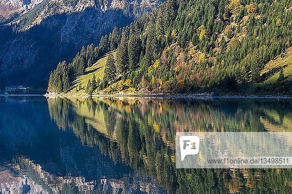 Vilsalpsee  Herbstfärbung  AllgÃ¤u Alpen  Tannheimer Tal  Tirol  Österreich  Europa