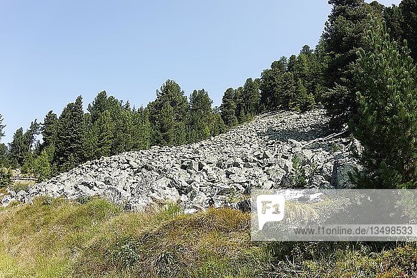 Abgegangene Gerölllawine, Biotop Plamorter Moos, am Reschenpass, Vinschgau, Südtirol, Italien, Europa