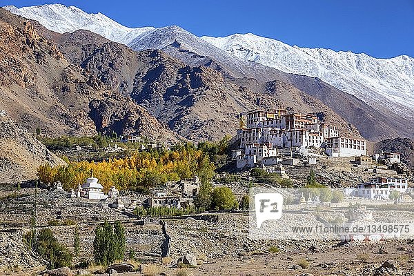 Likir Monastery or Likir Gompa  Ladakh  India  Asia
