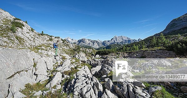 Wanderer steht auf einem Stein  Wanderweg zur Wasseralm über Niederbrunnsulzen  hinter Watzmann  Steinernes Meer  Nationalpark Berchtesgaden  Bayern  Deutschland  Europa