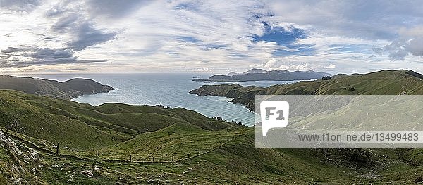 Blick auf Wiesen und felsige Küste am French Pass  Region Marlborough  Marlborough Sounds  Picton  Südinsel  Neuseeland  Ozeanien