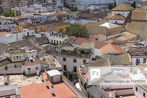 Blick auf Dächer  Córdoba  Andalusien  Spanien  Europa