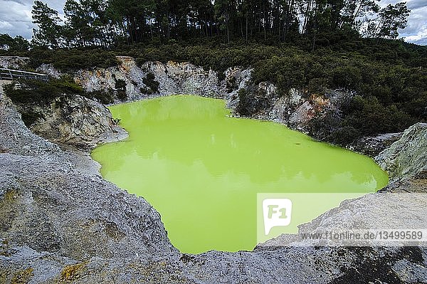 Grüner saurer Krater im Wai-O-Tapu Thermal Wonderland Nordinsel Neuseeland Ozeanien