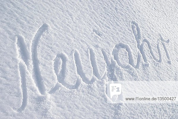 Das Wort Neujahr  geschrieben auf einer unberührten Schneedecke