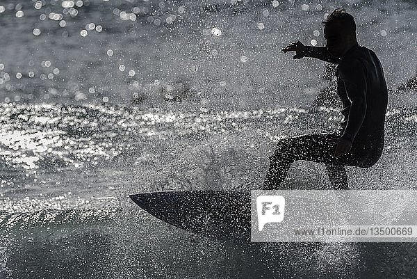 Surfer mit hohen Wellen im Meer gegen das Licht  Südfrankreich  Frankreich  Europa