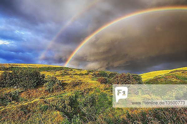 Doppelter Regenbogen über buschiger Landschaft  nahe Pennan  Aberdeenshire  Schottland  Großbritannien