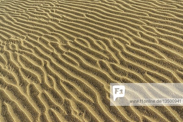 Strukturen im Sand  Dünen von Maspalomas  Dunas de Maspalomas  Strukturen im Sand  Naturschutzgebiet  Gran Canaria  Kanarische Inseln  Spanien  Europa