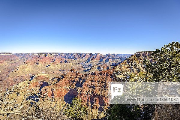 Aussichtspunkt Mather Point  erodierte Felslandschaft  South Rim  Grand Canyon National Park  Arizona  USA  Nordamerika
